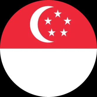 Dubai flag
